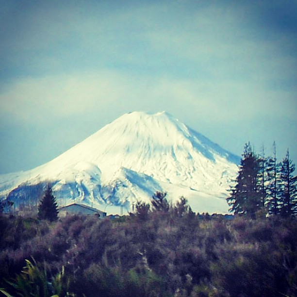 Snow-covered mountain rising behind dark trees and brush under a cloudy blue sky.