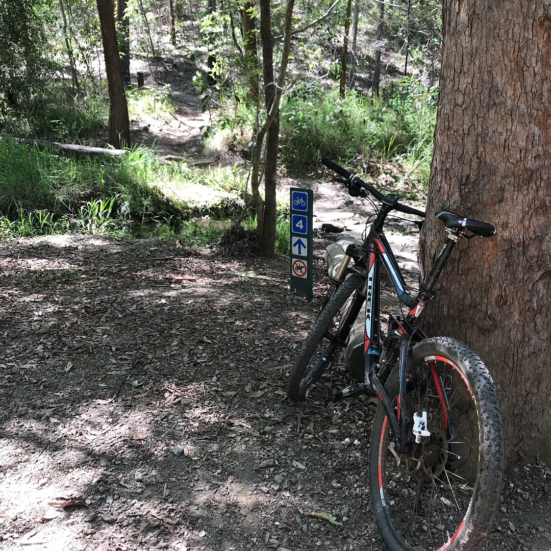 Mountain bike leaning against a tree beside a forest trail and a blue sign marked 4.