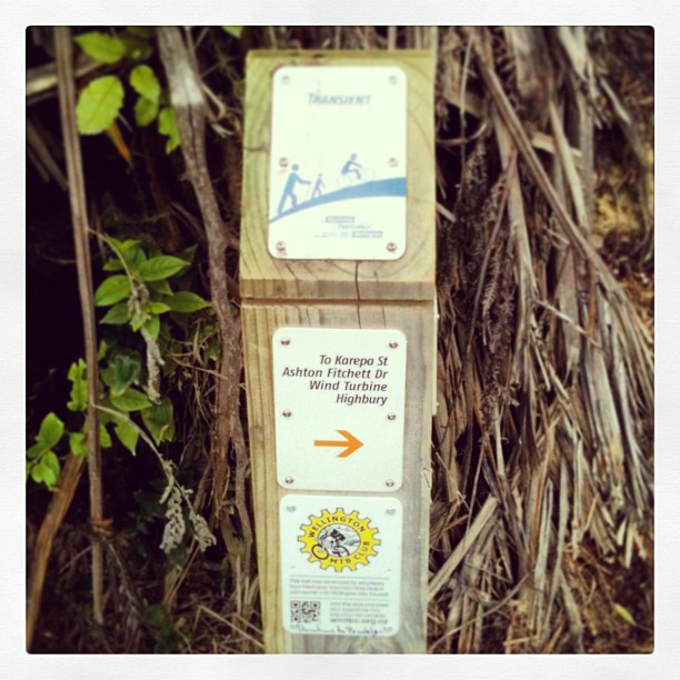 Wooden trail post with signs for a walking and biking path and an arrow pointing right, surrounded by dense vines and foliage.