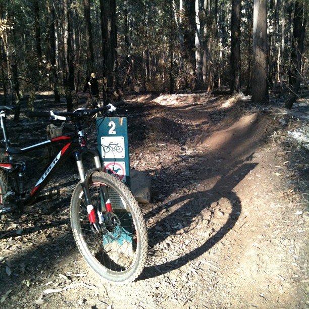 Mountain bike beside a trail sign marked 2 on a dirt path winding through a wooded forest.