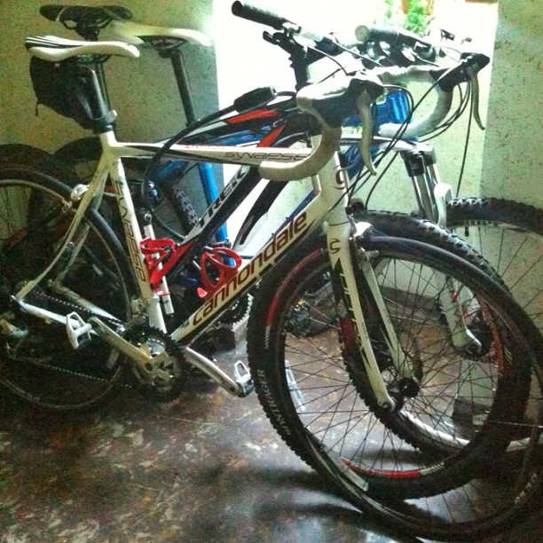 Two bicycles, a white road bike and a black mountain bike, parked indoors on a dark floor near a bright doorway.