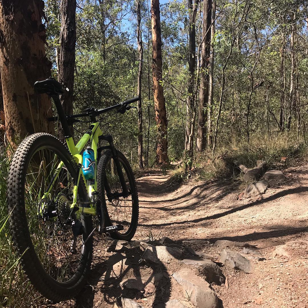 Green mountain bike parked beside a rocky dirt trail in a sunlit forest with tall trees.
