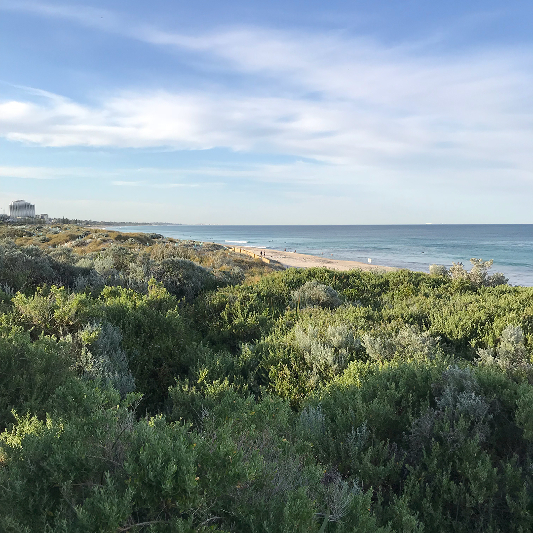 Coastal scrubland overlooks a sandy beach and calm blue ocean under a wide sky with streaky clouds, with a distant building on the left.