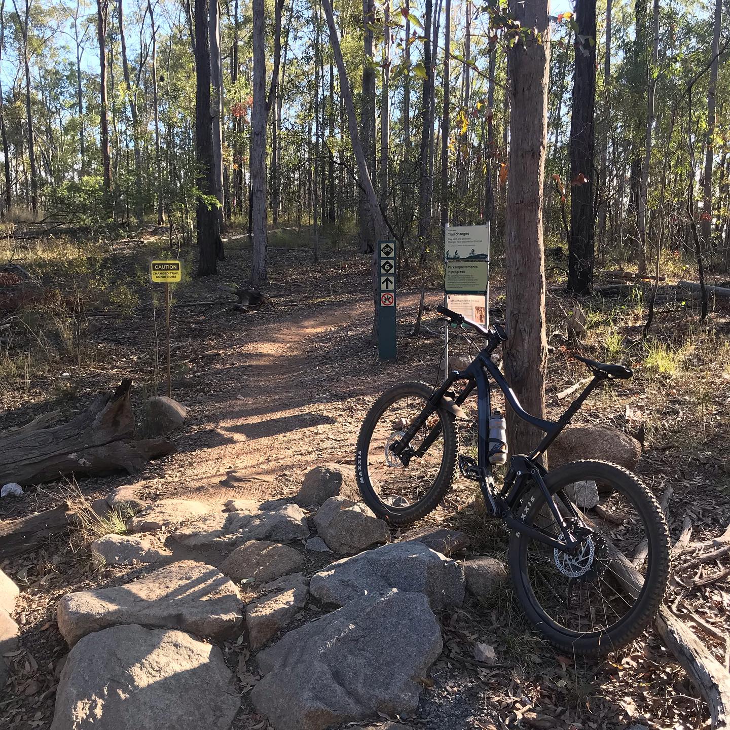 Mountain bike leaning against a tree beside a rocky dirt trail in a wooded area with caution and trail signs.
