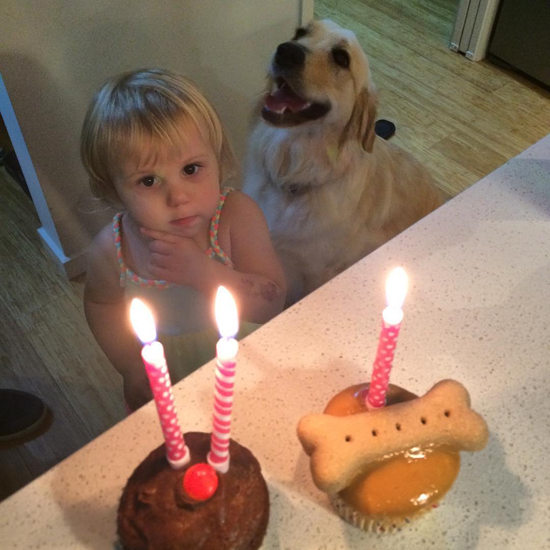 Toddler and golden retriever watching two cupcakes with lit pink candles, one topped with a dog biscuit, on a kitchen counter.
